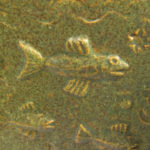 ich bin auch ein Fisch!