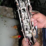 ein gegossener Gießbaum