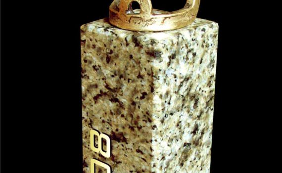 für gründerzentrum dessau,bronze,2008